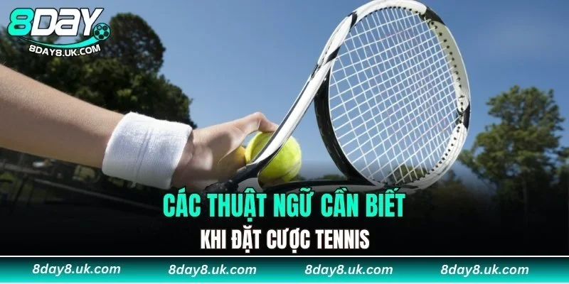 Các thuật ngữ cần biết khi đặt cược tennis Các thuật ngữ cần biết khi đặt cược tennis